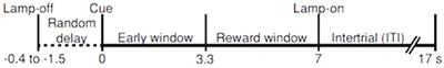 Review: Subjective Time Perception, Dopamine Signaling, and Parkinsonian Slowness